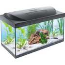 Tetra Starter Line 54 Litre Fish Tank Review