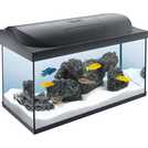 Buy Tetra Starter Line 105L LED Fish Tank, Fish tanks and stands