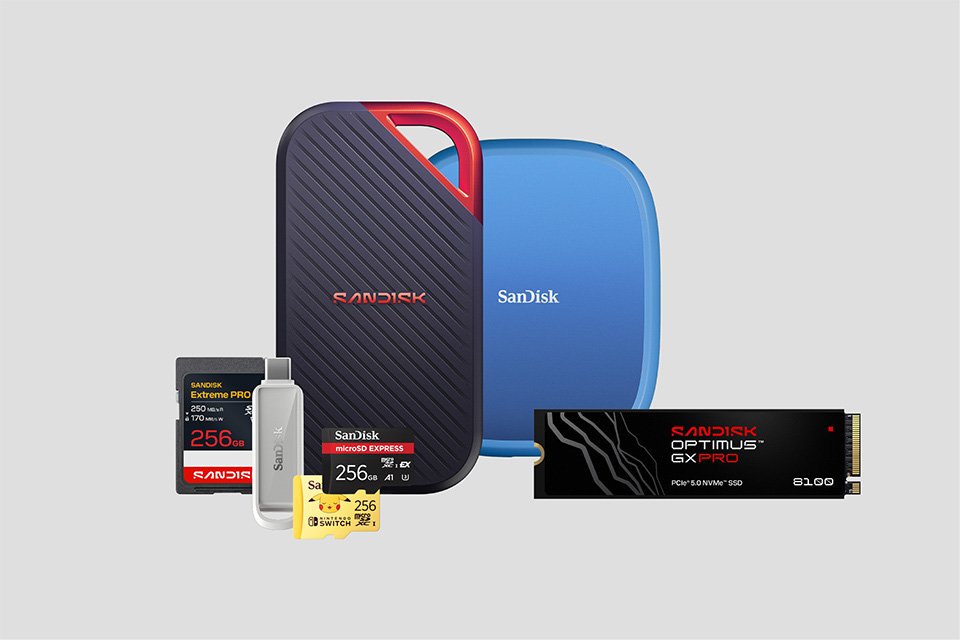 A collection of flash products from SANDISK® including memory cards and SSDs.