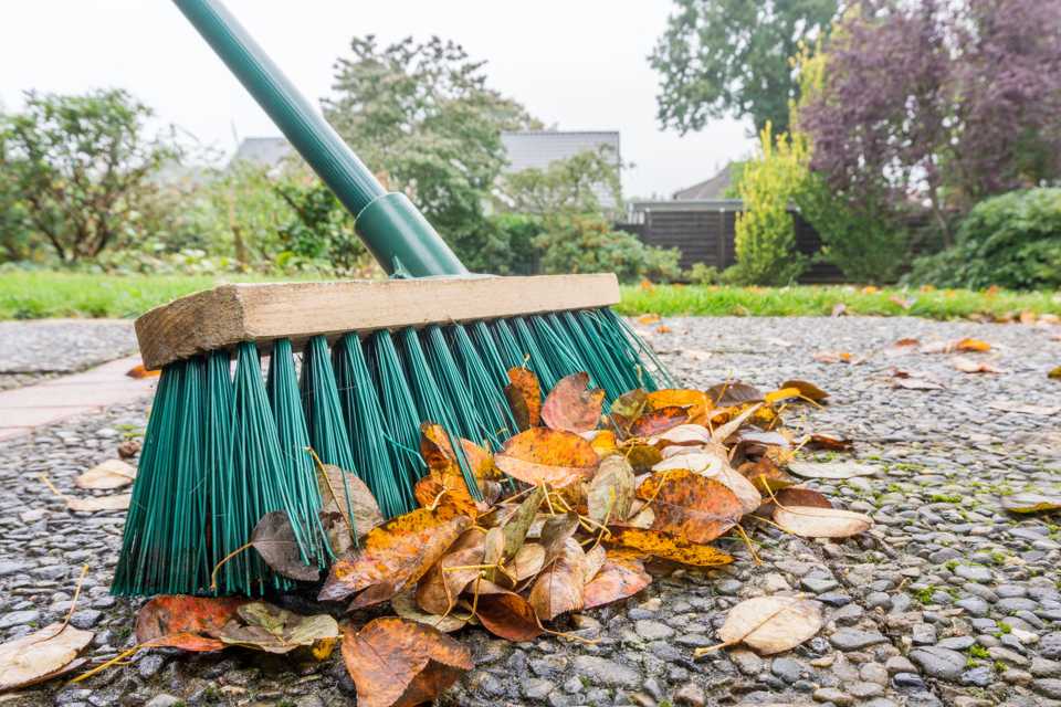 Argos best sale jet spray