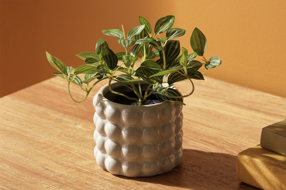 Habitat Artificial Green Small Trailing Plant. 
