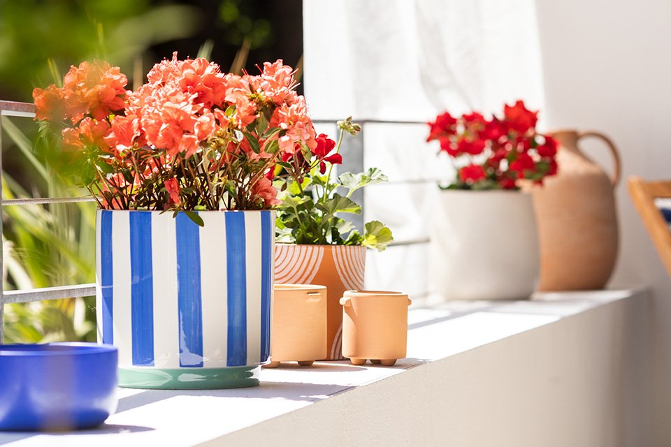 Different colour pots and planters in garden.