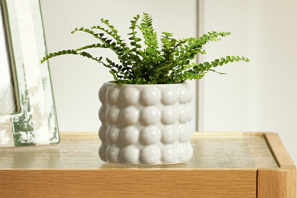 Habitat Bobble Small Planter - Grey.