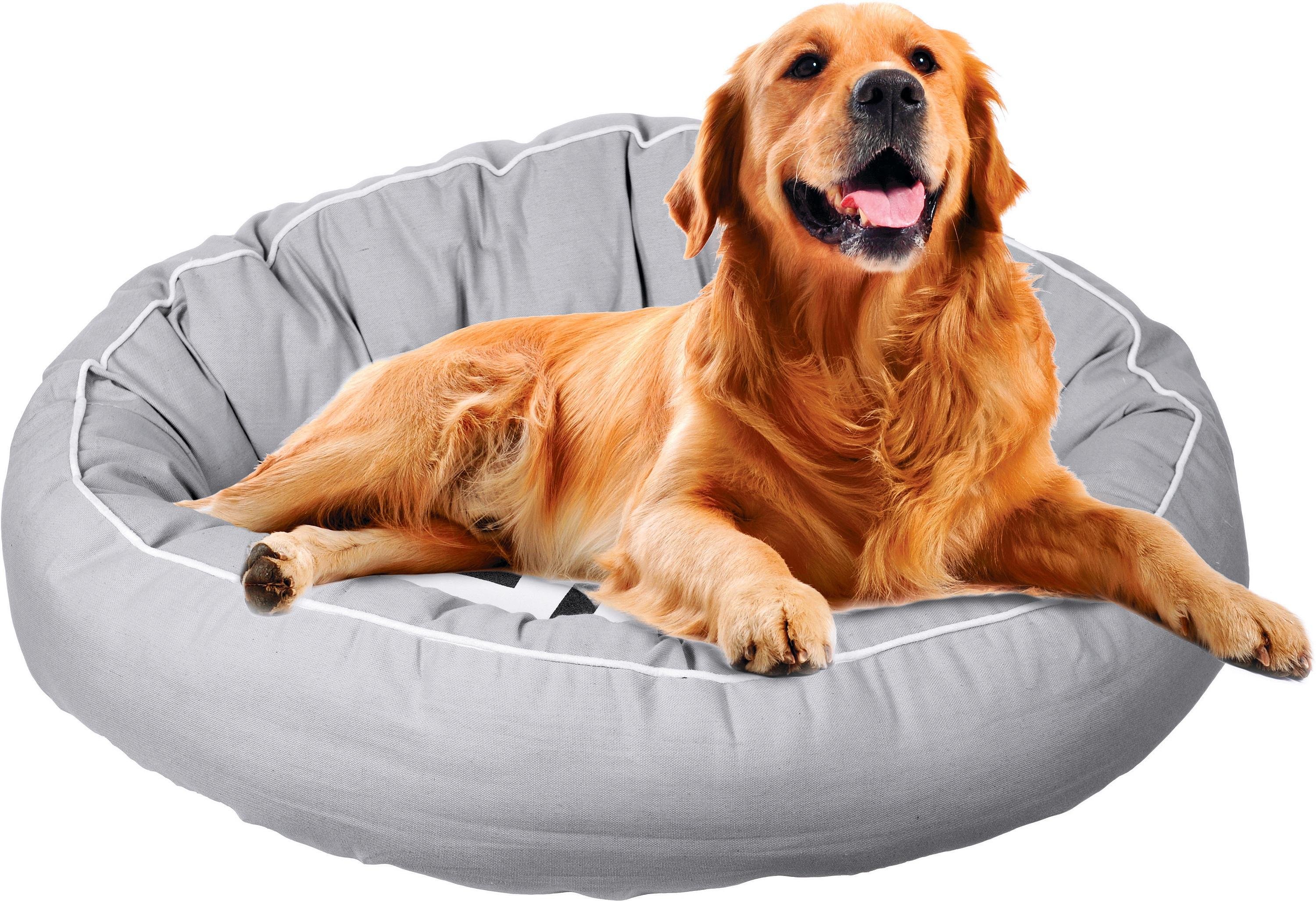 Snooze Orthopedic Dog Bed