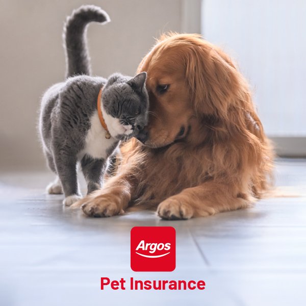 New to pet ownership? Check out our pet insurance - cover for when they unexpectedly need treatment. Provided by Pinnacle Insurance Limited.