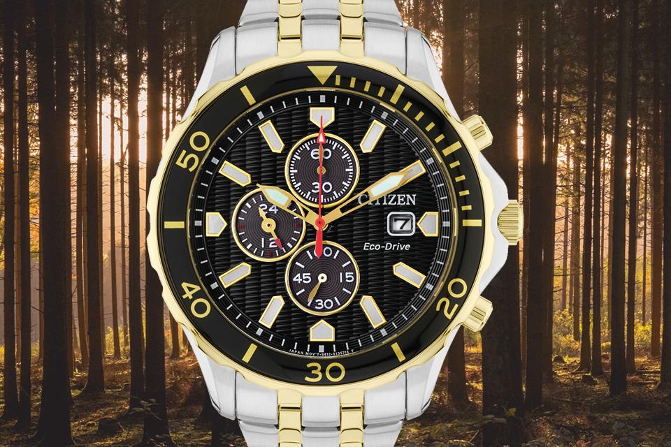 Image shows a two-tone Citizen Chronograph watch with a black dial superimposed against woodland scene. 