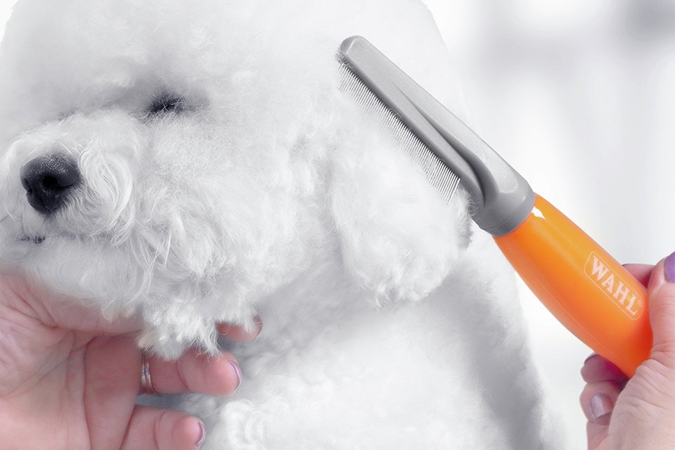 Summer grooming.