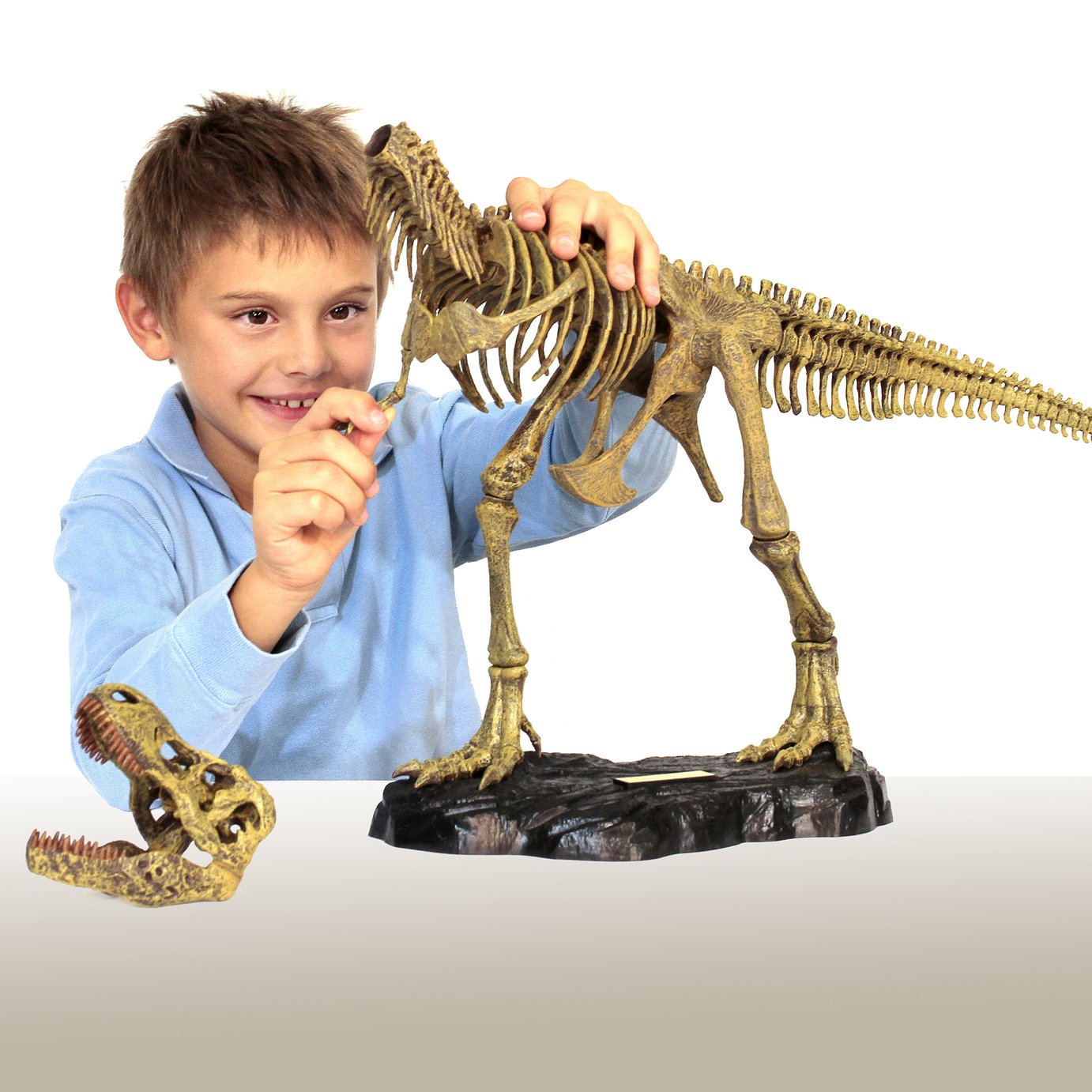 Dr Steve Hunters T-Rex E Model Kit Review