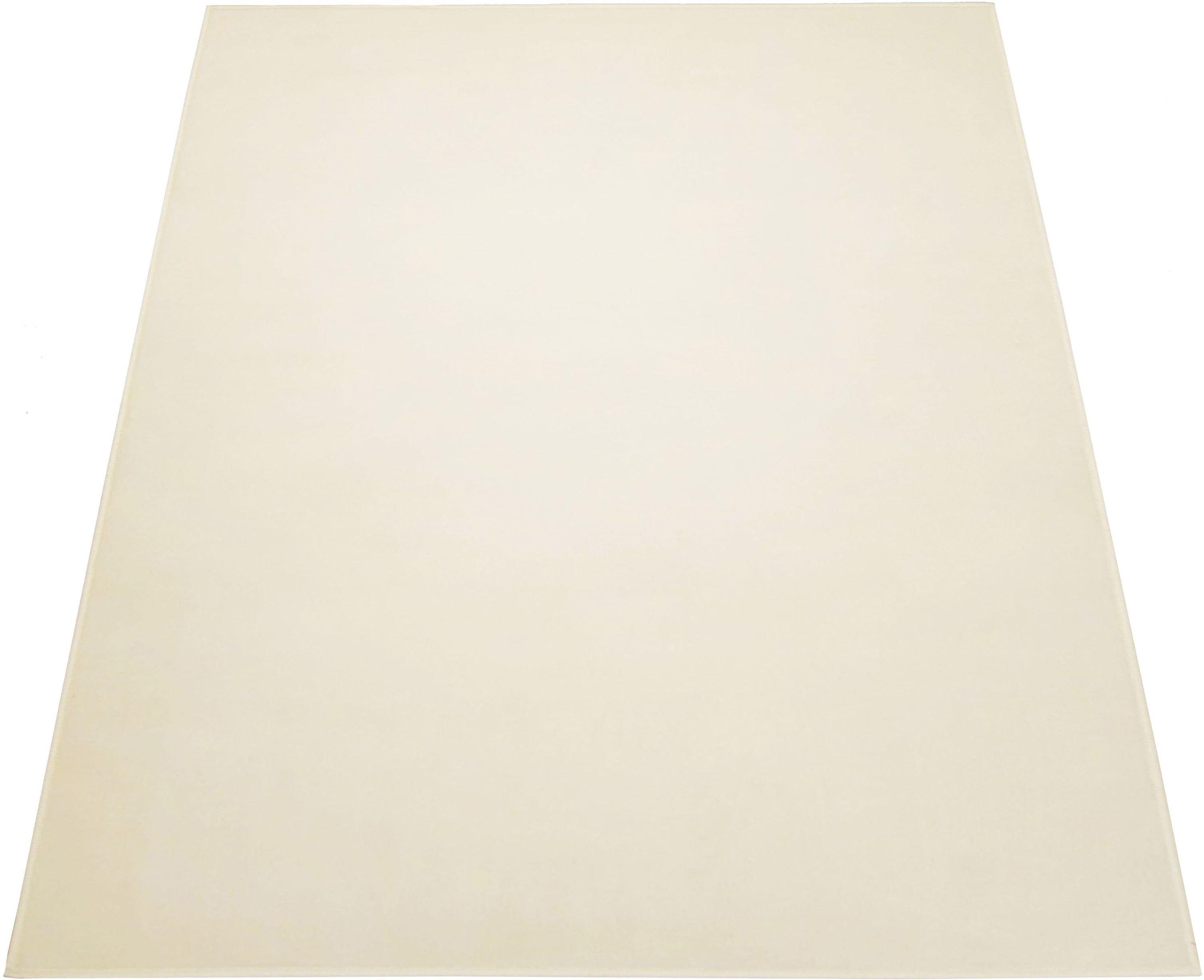 Maestro Plain Rug - 120x170cm - Ivory