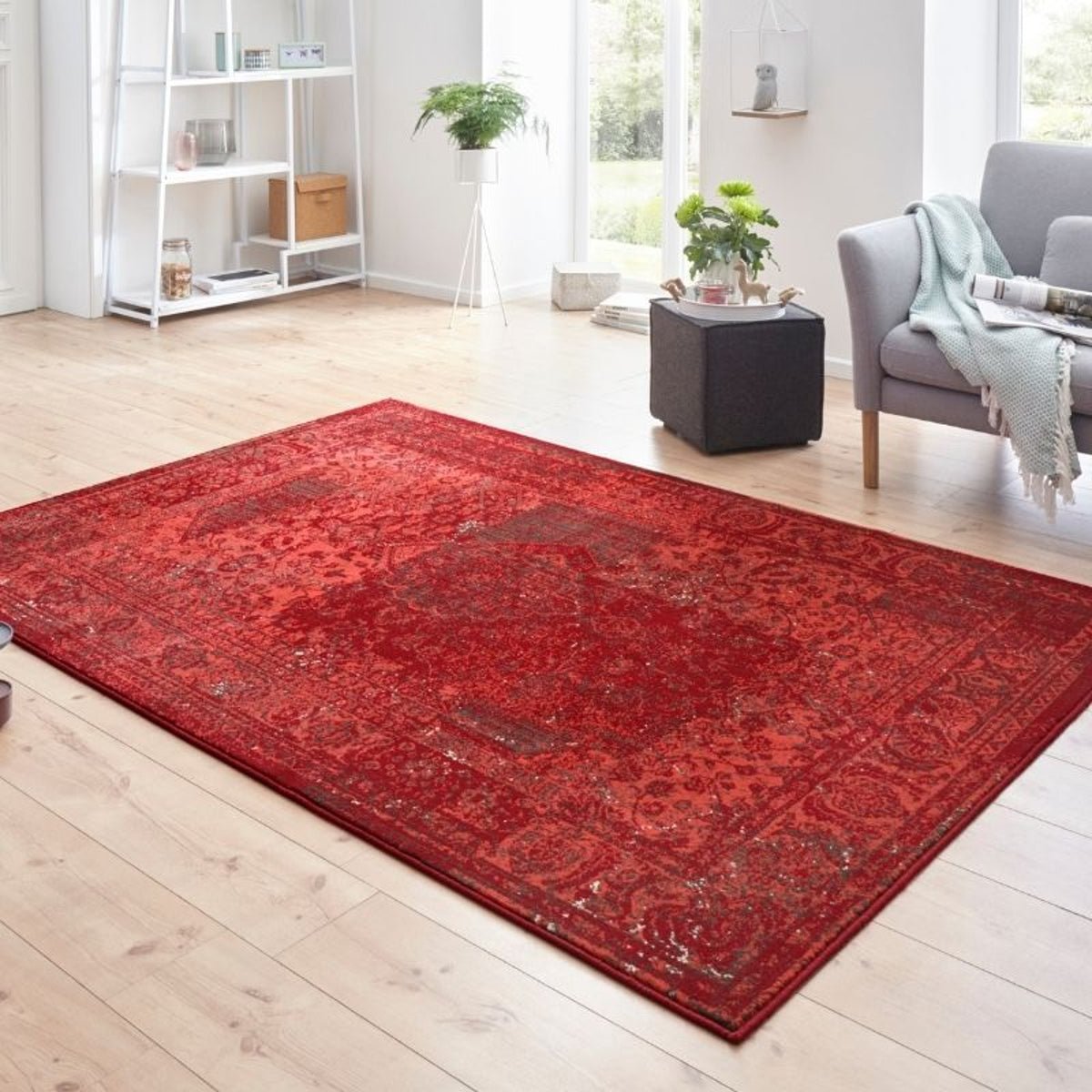 Buy Hanse Home Red Velour Plume Vintage Rug - 80 x 150cm | Rugs