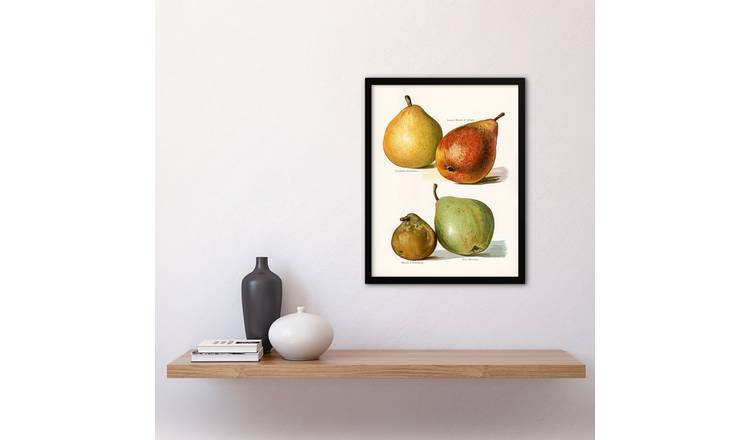 John Wright Four Pear Varieties Vintage Illustration Framed Art Print - A3