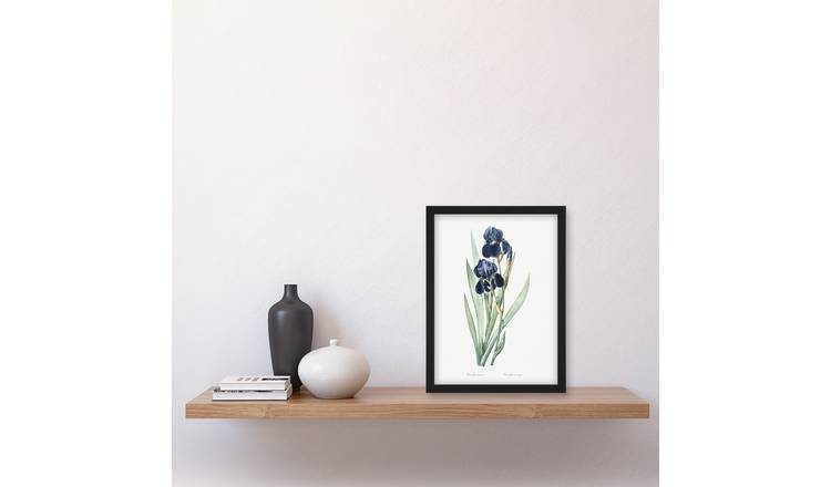 Pierre Joseph Redoute Bearded Iris Vintage Botanical Framed Art Print - A4