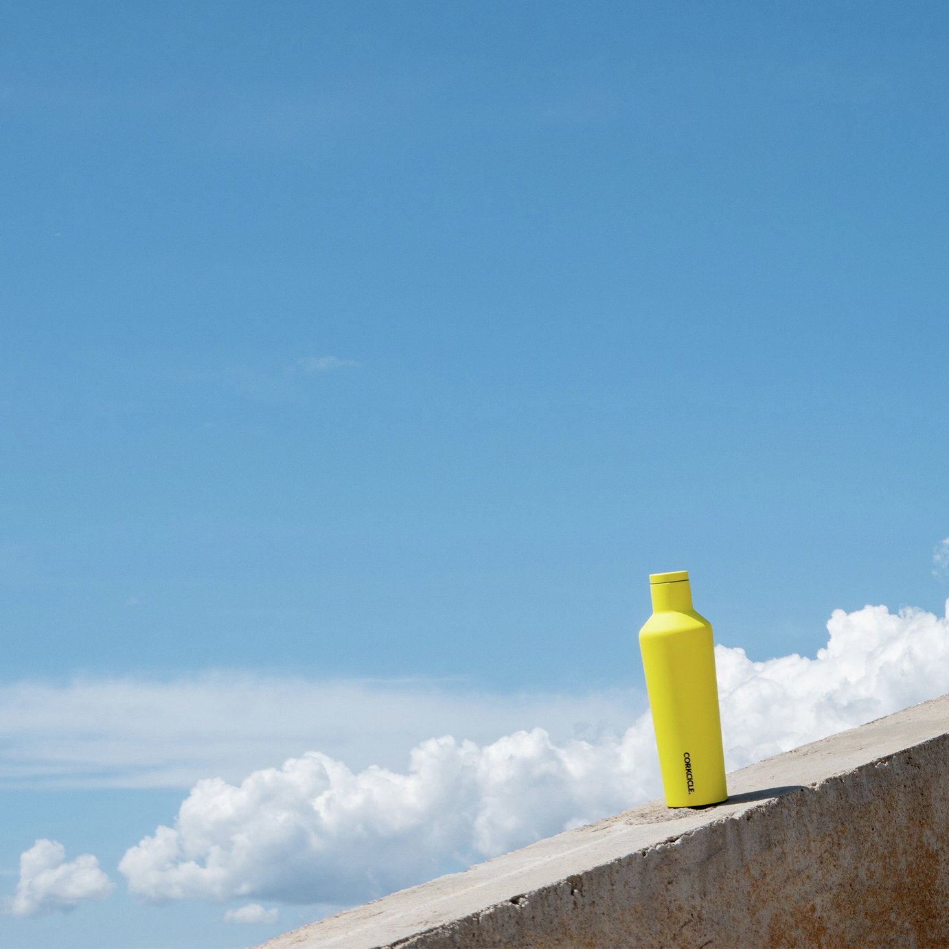 Corkcicle Neon Yellow Stainless Steel Canteen Reviews Updated July 2024