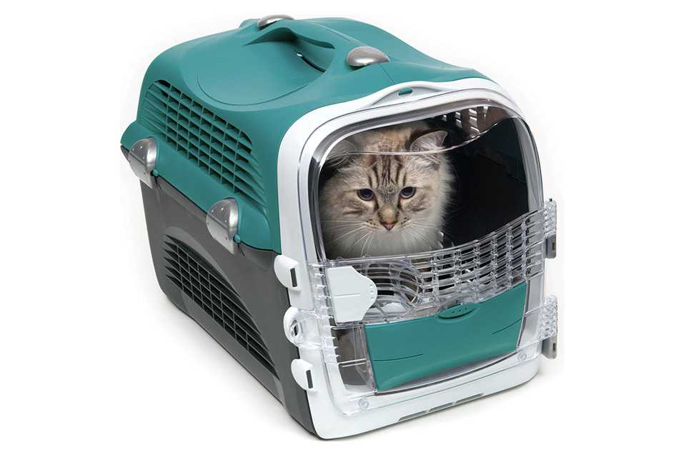 Kitten Checklist Argos