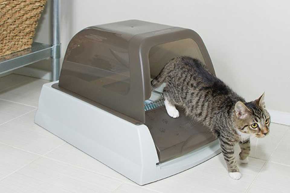 Argos cat top litter