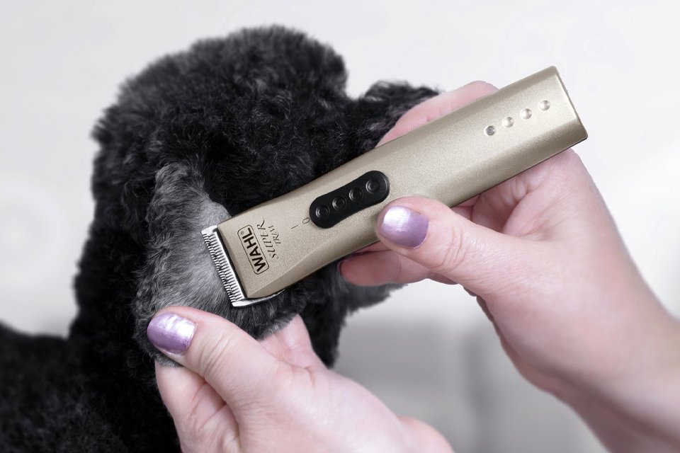 argos pet grooming kit