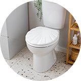 Toilet seats.