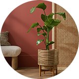 Pots and planters.