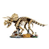 LEGO® sets for adults.