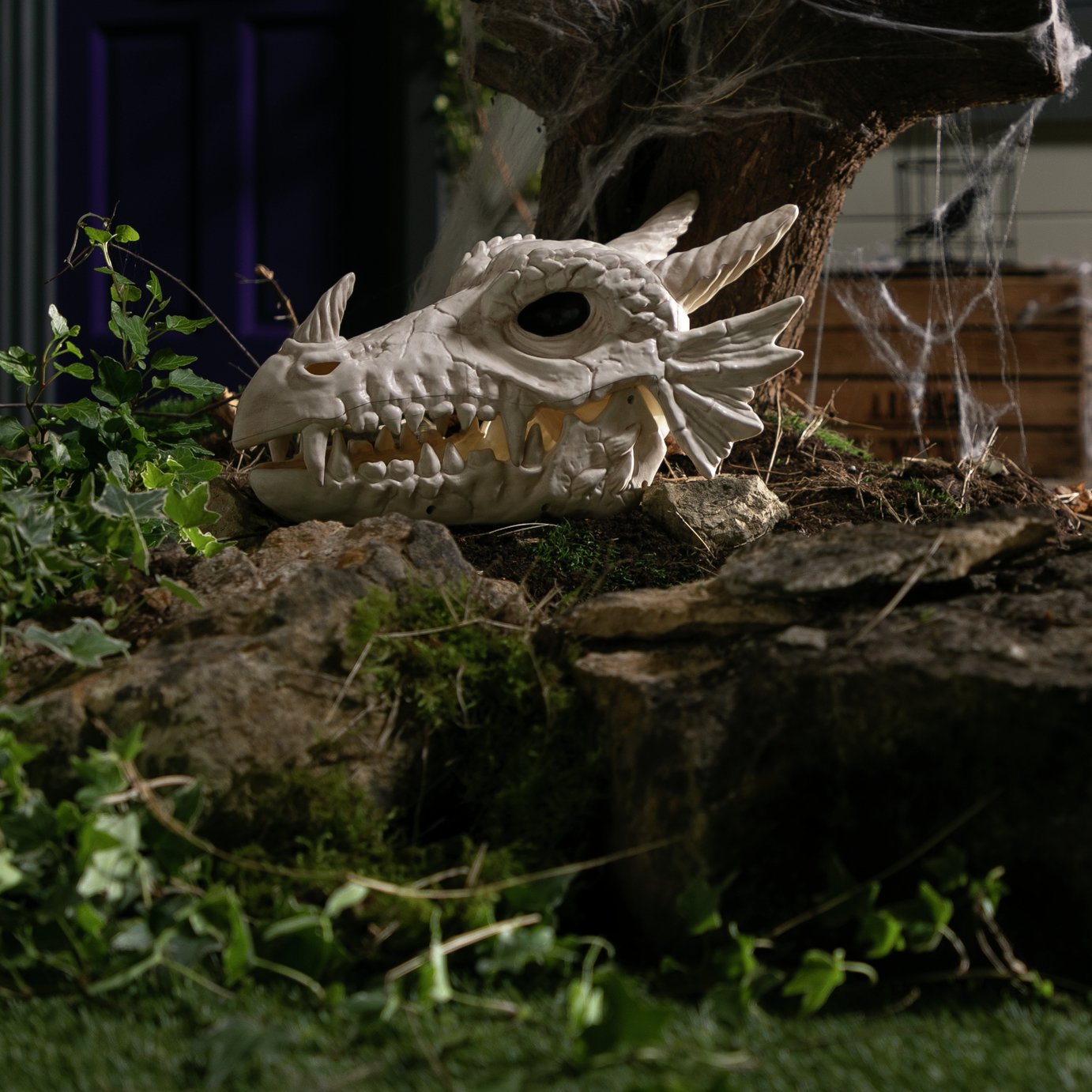 Argos Home Dragon Skull Halloween Decoration