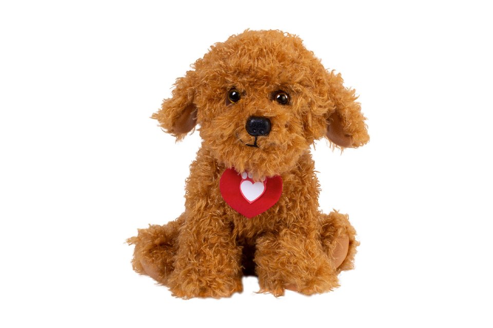 dog teddy for dog