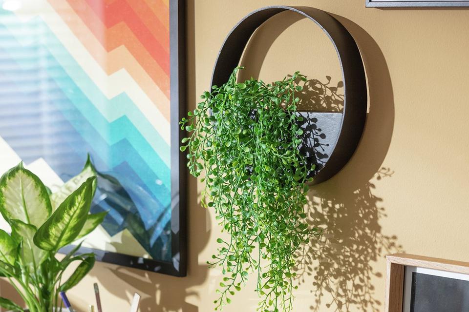 Image of circular wall planter.