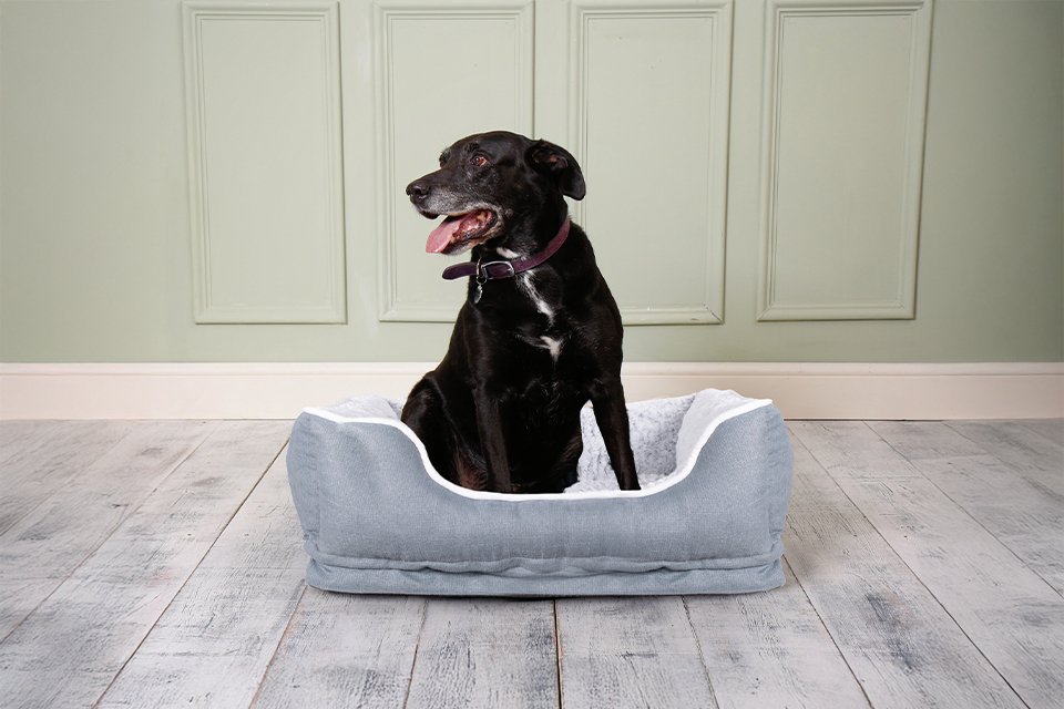 Save up to 1/3 on selected pet products. Includes dog beds, cat scratchers and more.