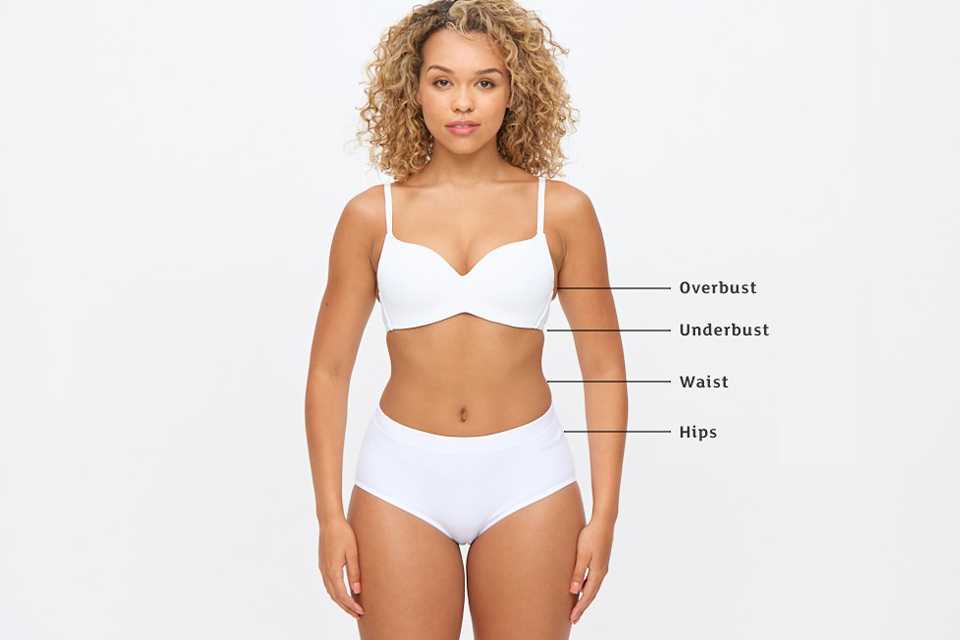 Bra Fitting Guide Bra Measurements for Tu Clothing