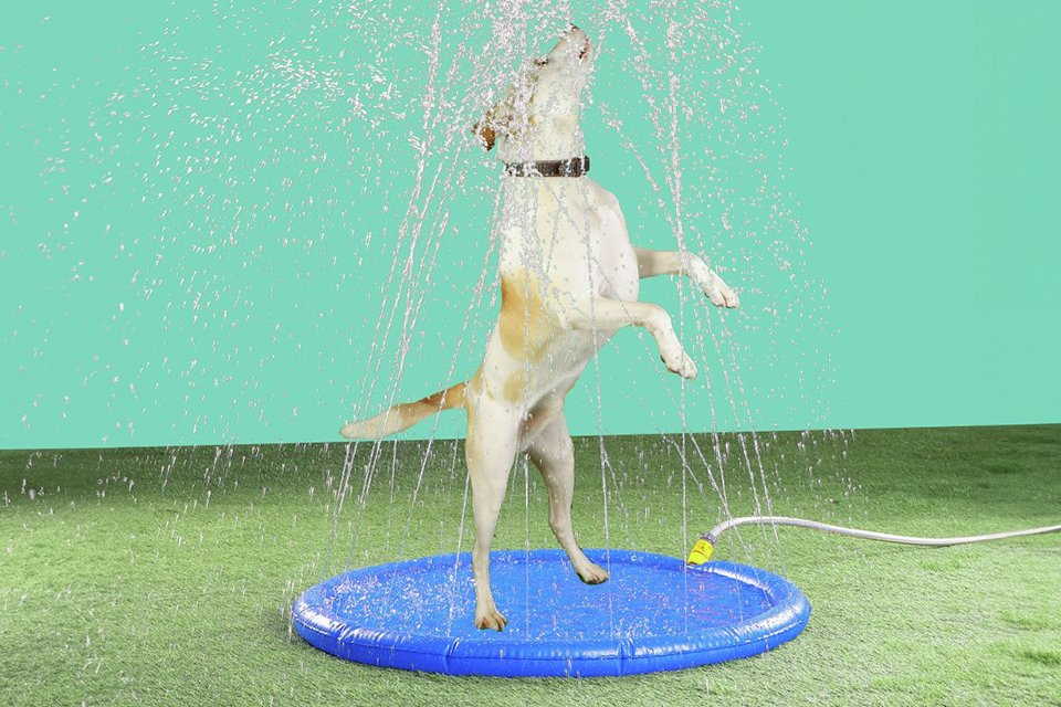 Pet cooling. Hot weather? Keep your pet cool and calm.