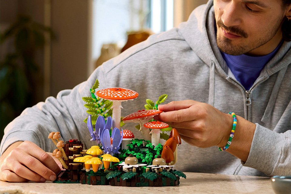 Fan & Collectors. Who said toys are just for Kids!
