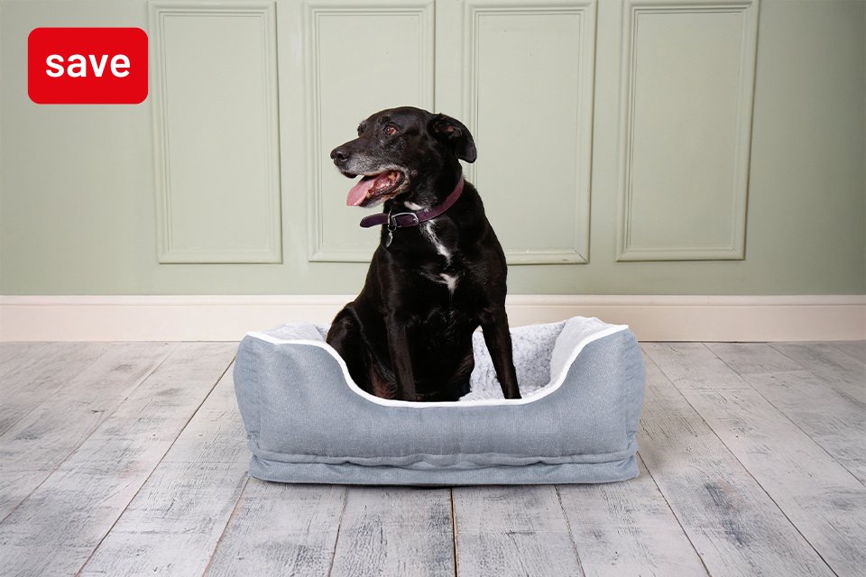 Save up to 1/3 on selected pet lines. Includes dog beds, cat scratchers and more.