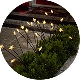 Outdoor decorations.