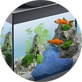 Tetra Starter Line 30L LED fish tank.