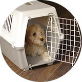 Rosewood plastic pet carrier with cushion in medium size.