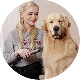 A woman using a Floof 20V Cordless pet grooming hair dryer on a golden retriever dog.