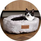 A cat sitting on a small sized Scruffs taupe coloured botanical ring bed.