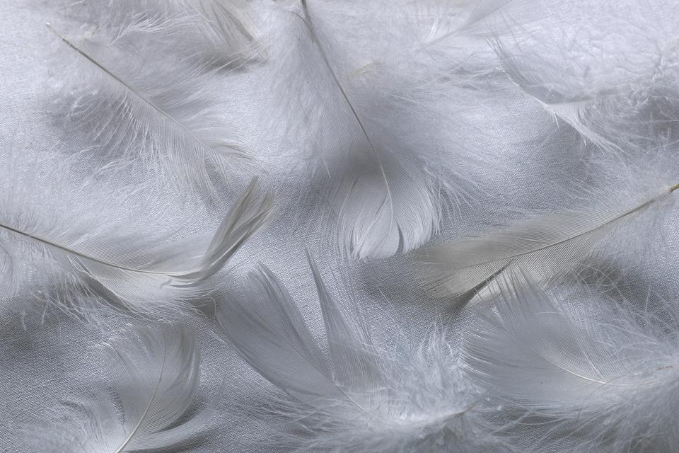 Duvet and pillow guide Argos