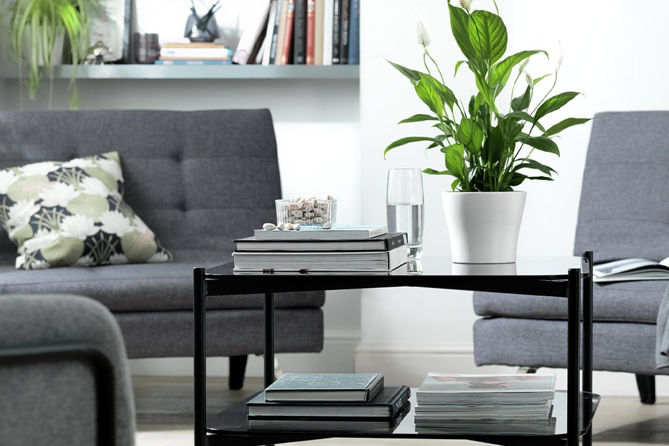 Image of black, rectangular coffee table in living room setting.