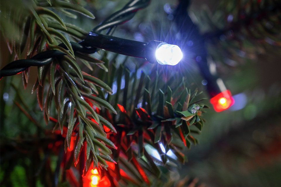 Multi-coloured string lights. 