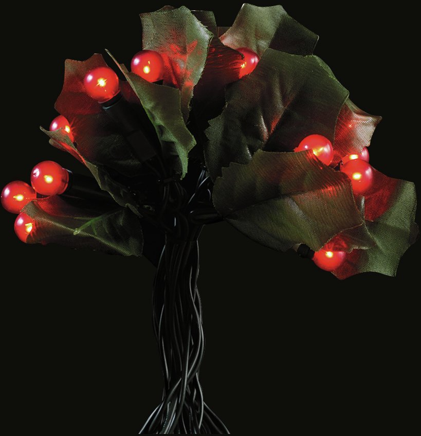 Argos Home 20 Red Holly and Berry Christmas Tree Lights - 3m