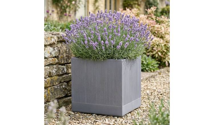 Dibor Large Fibre Clay Outdoor Garden Planter – Slate Grey