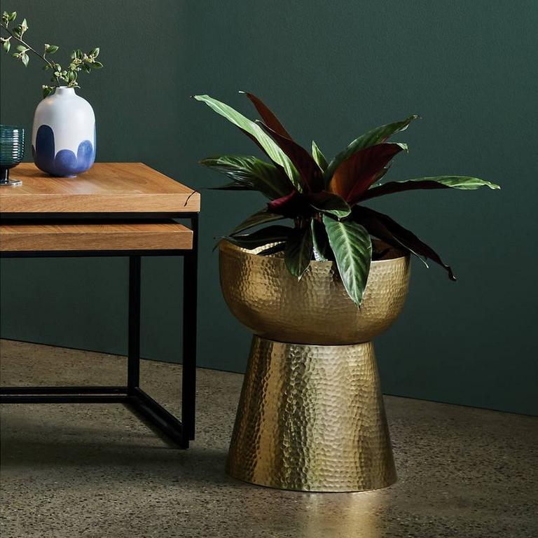 Image of a brass plant pot.