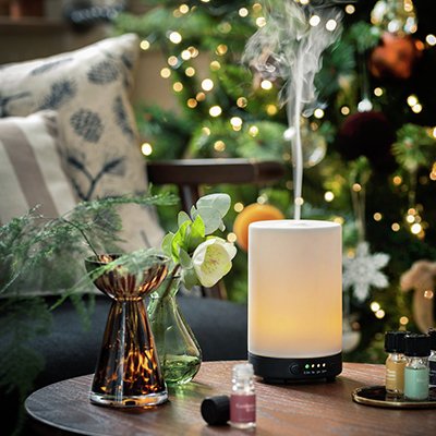 Habitat Ceramic Electric Diffuser.