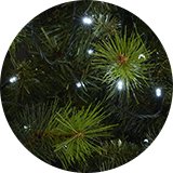 Habitat bright white Christmas tree lights.