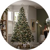 Christmas trees.