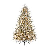 7ft Christmas trees.