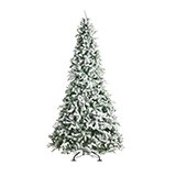 8ft-plus trees.