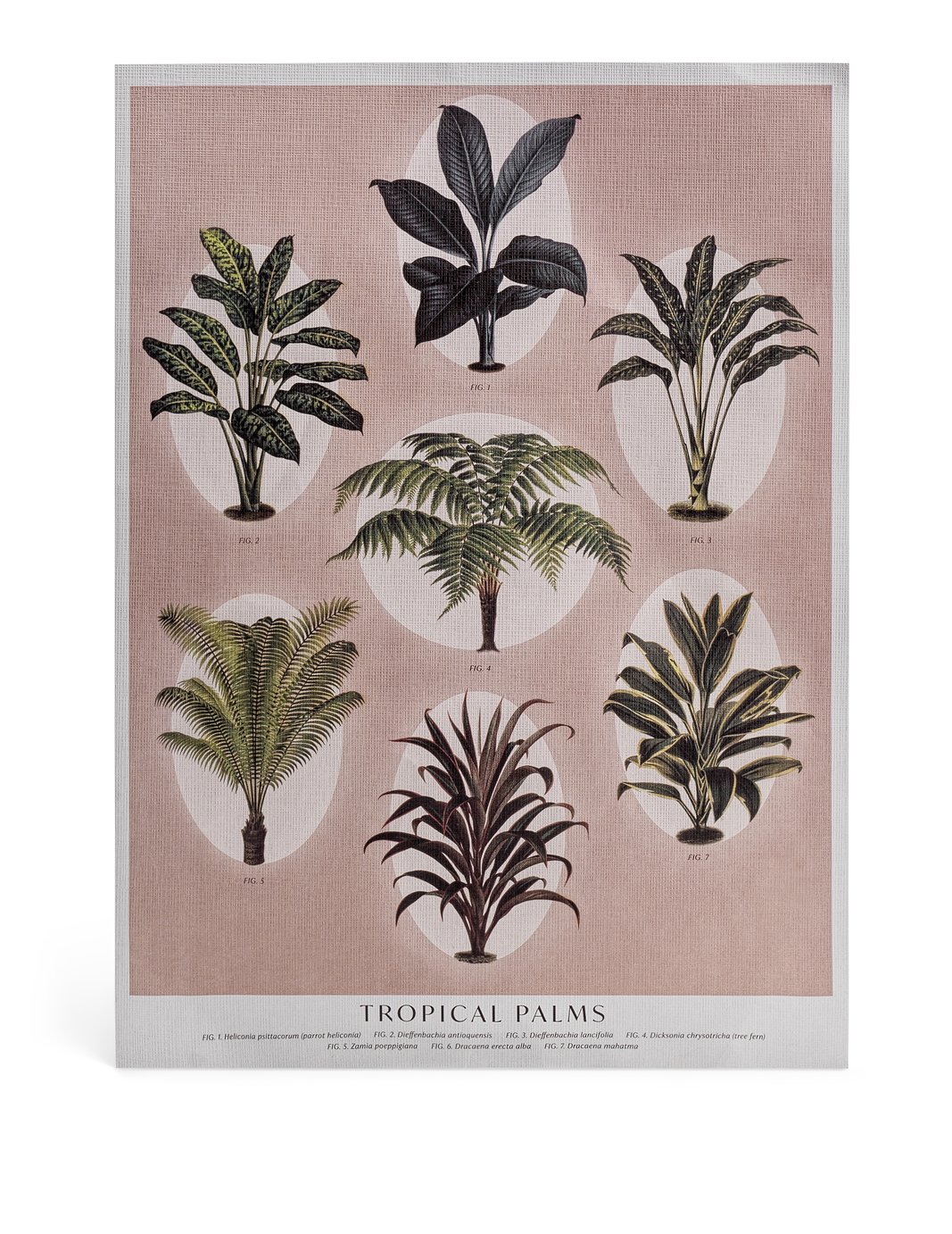 Habitat Botanical Print Unframed Wall Art - A4