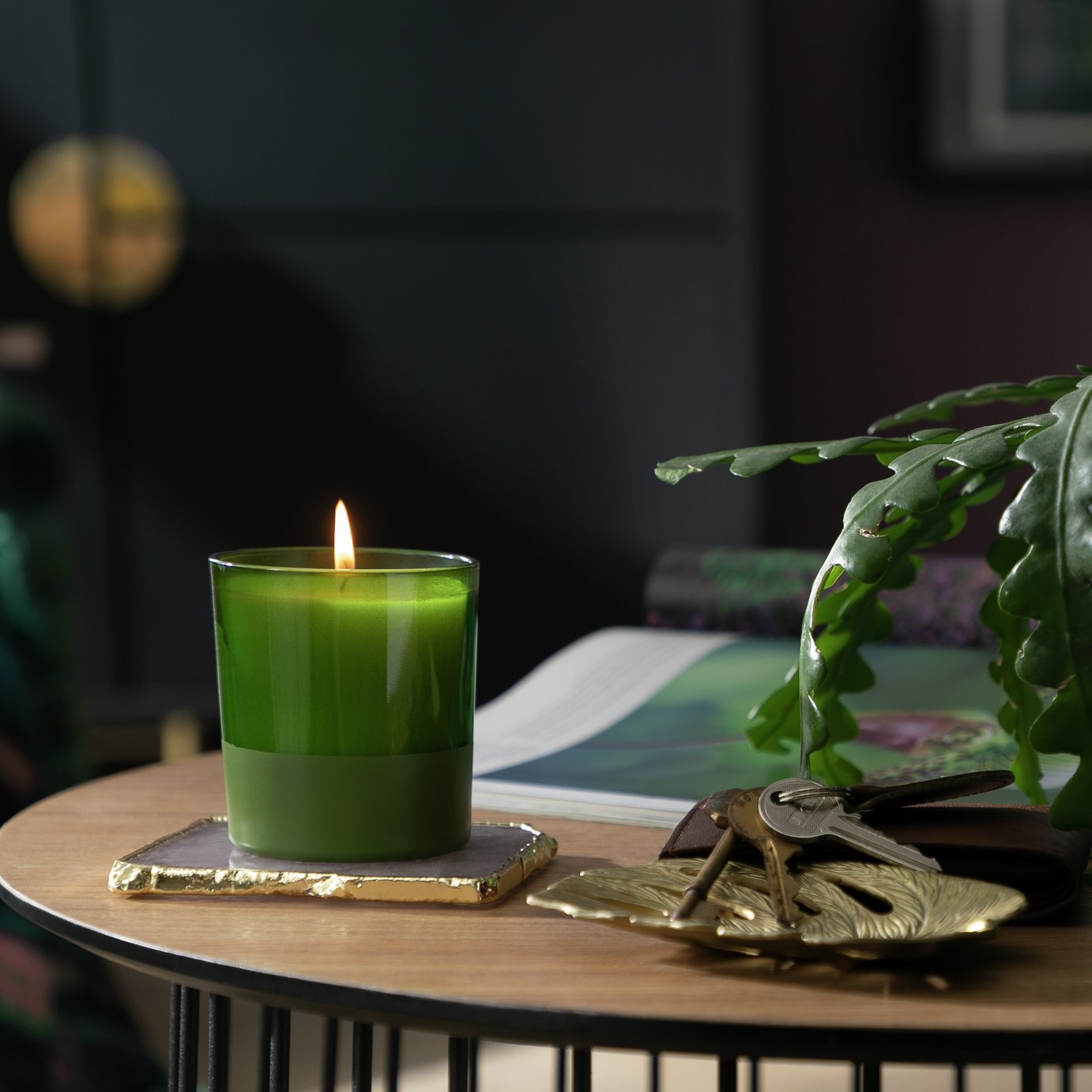 Habitat Boxed Candle - Fig Leaf & Amber