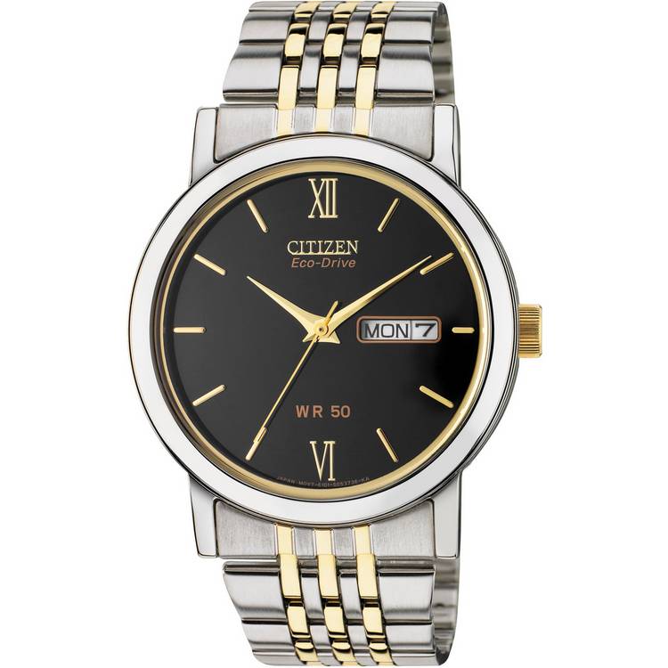 Citizen Eco-Drive Men's Two-Tone Stainless Steel Watch 0